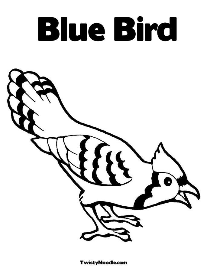Bird Coloring Sheets