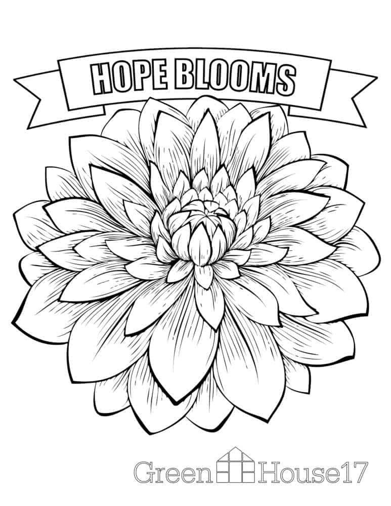 Easy Coloring Pages For Seniors