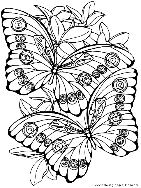 Butterfly Coloring Pages For Adults