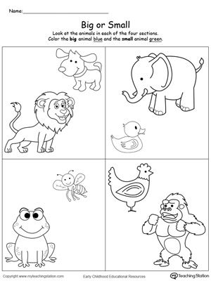 Sizes Big And Small Worksheets For Kindergarten