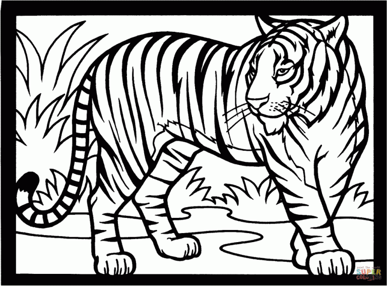 Tiger Coloring Pictures