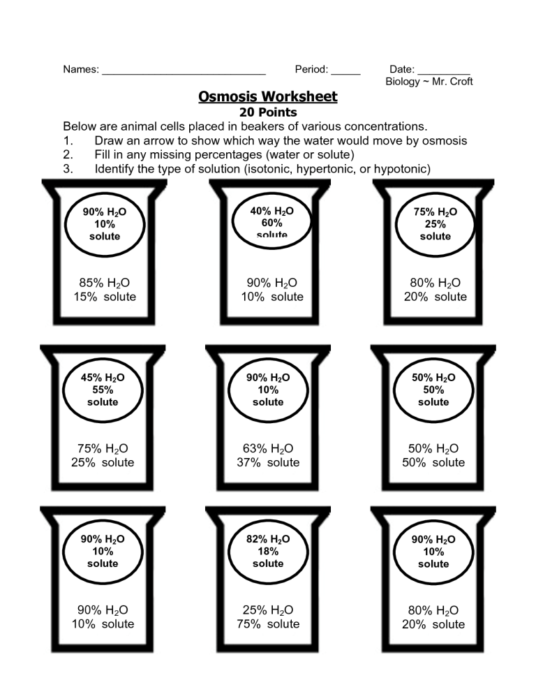 Osmosis Worksheet Answers Back