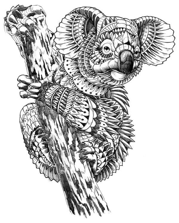 Koala Coloring Pages For Adults