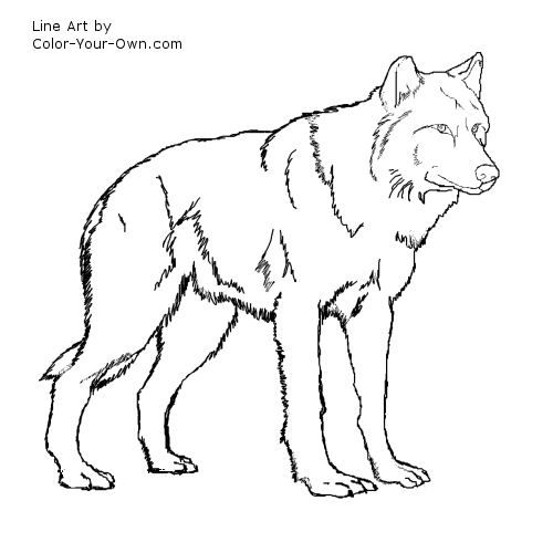 Wolf Coloring Pages Easy