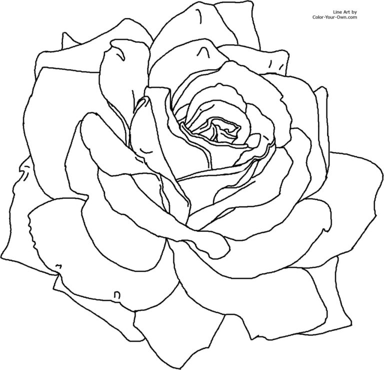 Rose Flower Coloring Pages Pdf