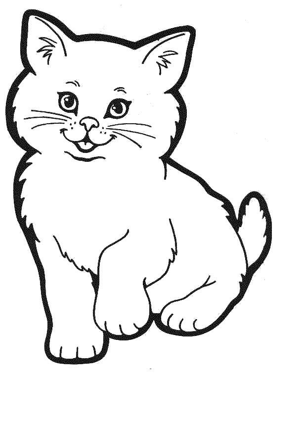 Cat For Coloring Pages