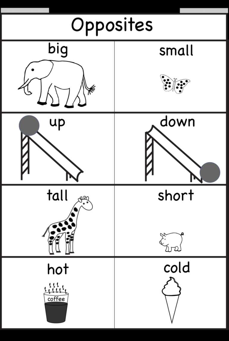 Easy Opposites Worksheets For Kindergarten