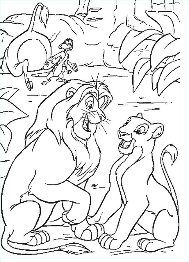 Lion King 2 Coloring Book