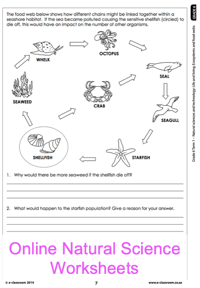 Fun 6th Grade Science Worksheets