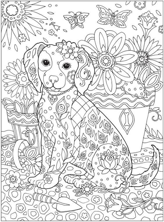Mindfulness Colouring Sheets Animals