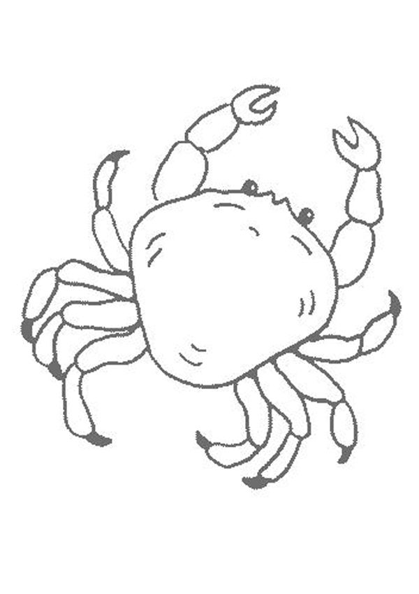 Crab Coloring Pages Printable