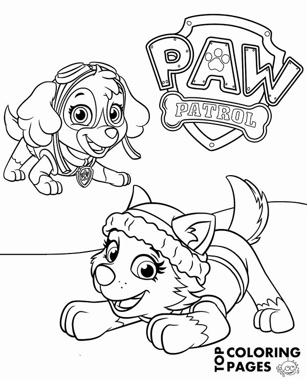 Everest And Skye Coloring Pages