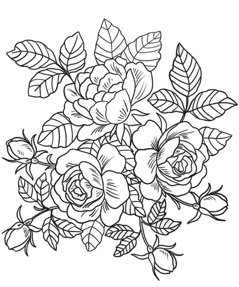 Rose Flower For Coloring