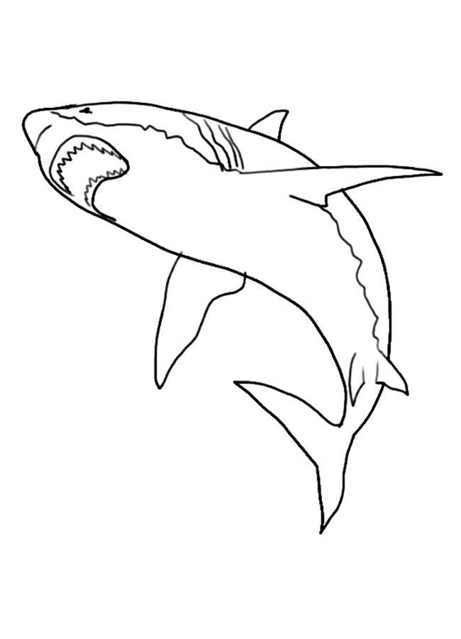 Shark Tooth Coloring Page