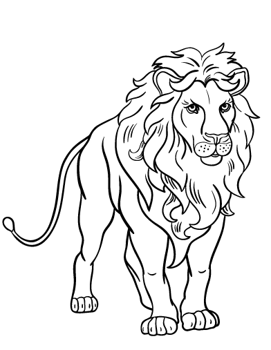 Lion Colouring Template