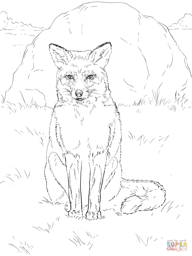 Fox Coloring Picture