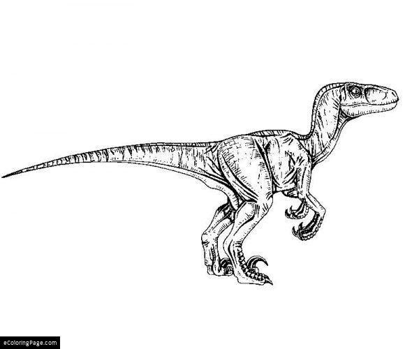 Jurassic World Velociraptor Coloring Pages