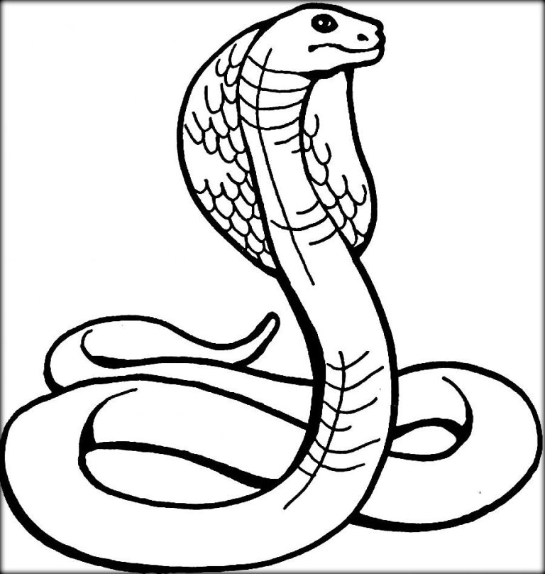 Snake Coloring Pages To Print