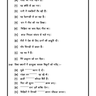 Beginner Hindi Grammar Worksheet For Class 2
