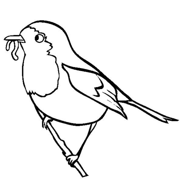 Robin Coloring Pages Printable