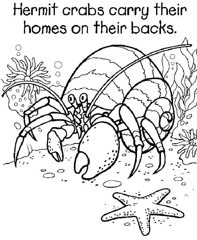 Crab Coloring Pages For Kids