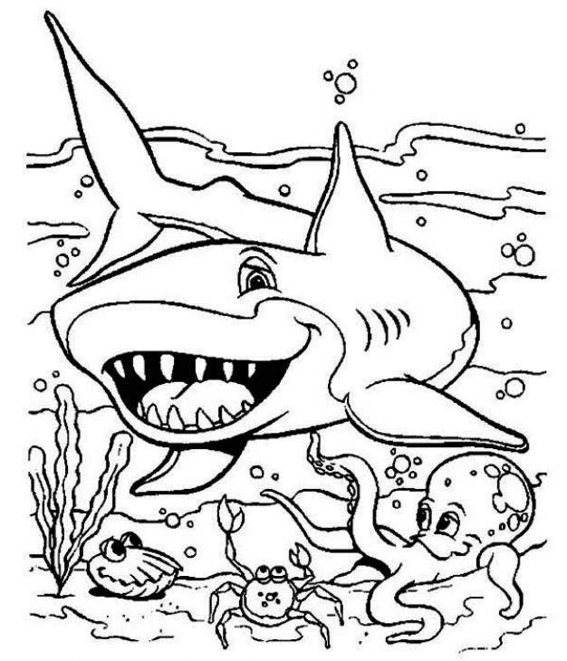 Shark Pictures To Color And Print