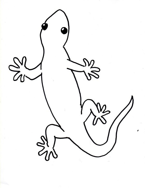 Geico Gecko Coloring Page