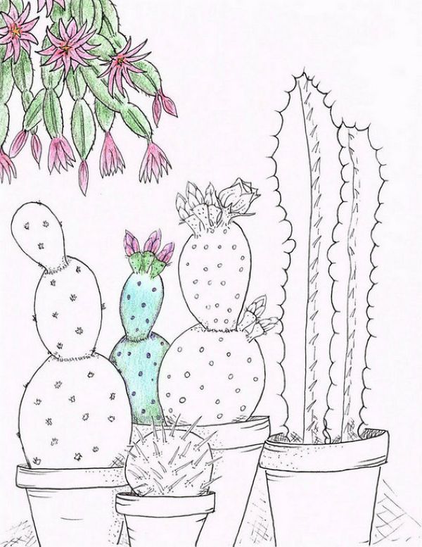 Cactus Plant Coloring Pages