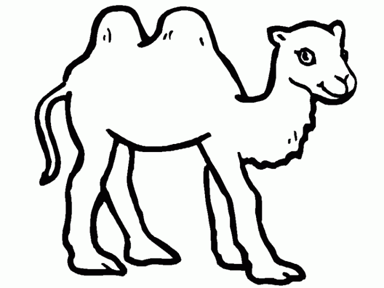Cartoon Camel Coloring Page