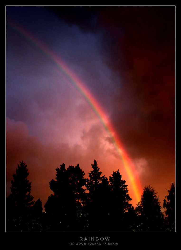 Real Rainbow Pictures To Color