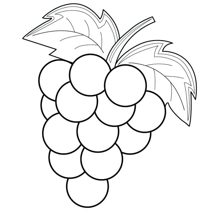 Grapes Coloring Page Clipart