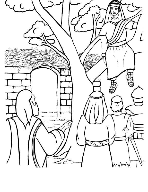 Zacchaeus Coloring Page Free