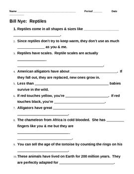 4th Grade Bill Nye Food Web Worksheet