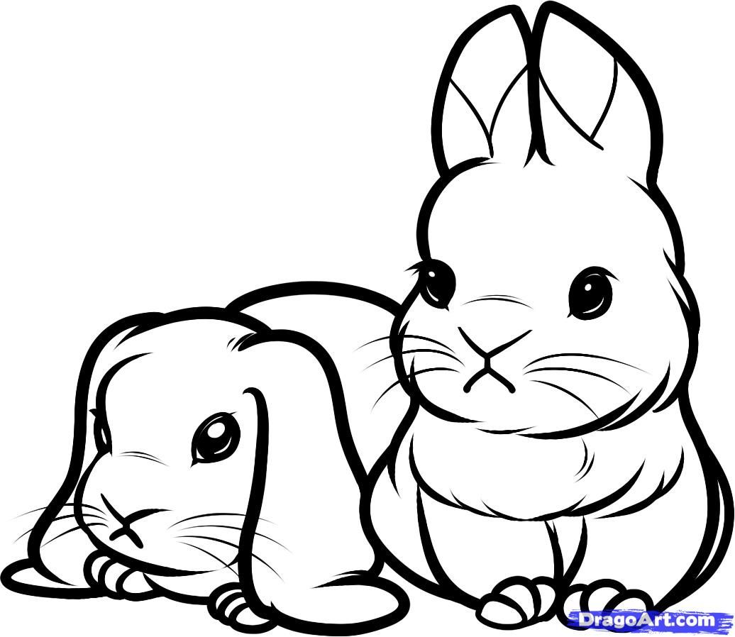 Cute Bunny Bunny Pictures To Color