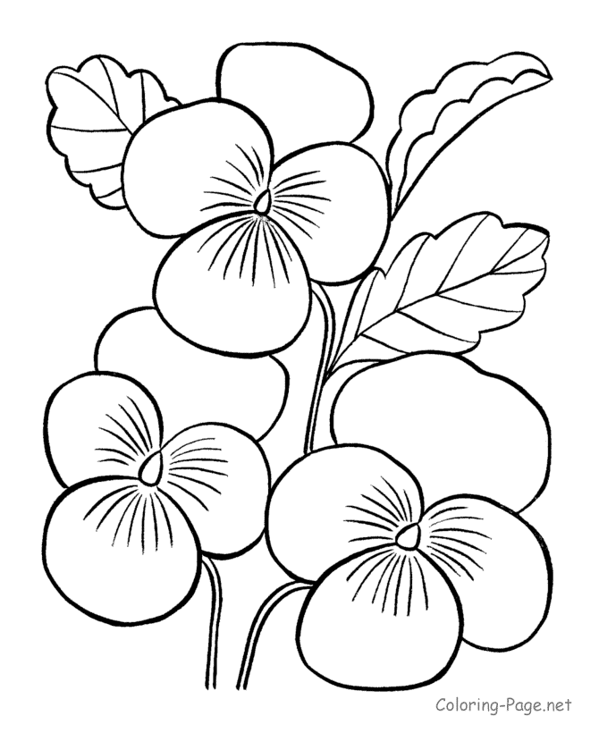 Printable Pictures To Color Flowers