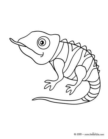 Chameleon Coloring Pages For Kids