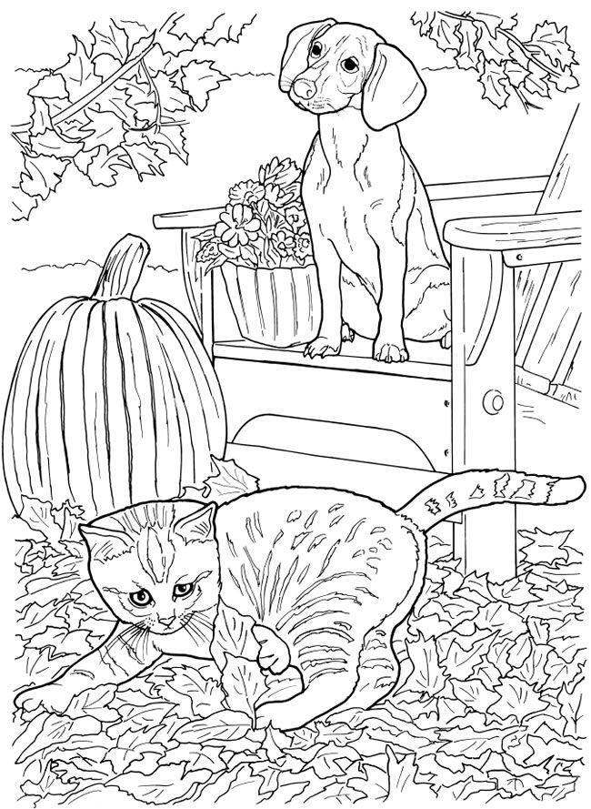 Detailed Cat And Dog Coloring Pages