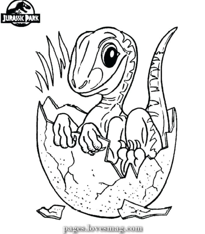 Blue Velociraptor Coloring Pages