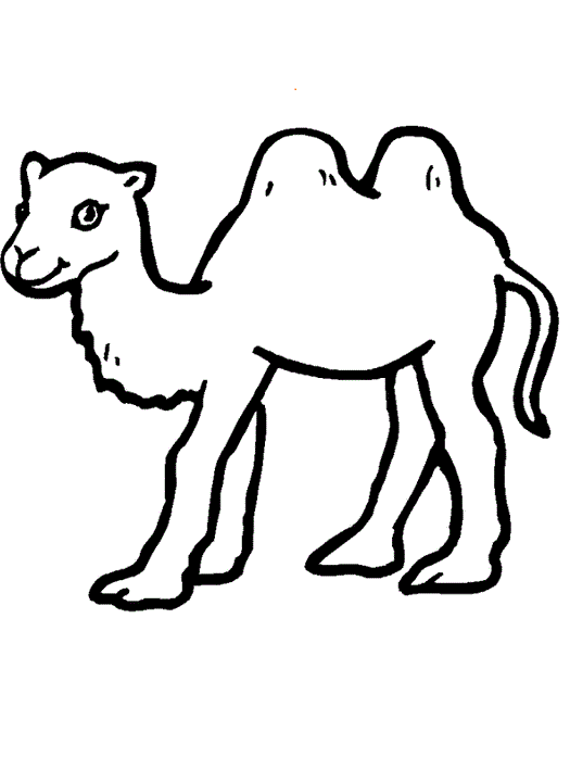 Easy Camel Coloring Page