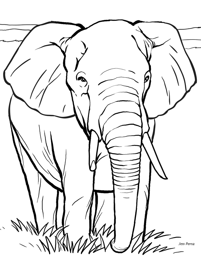 Coloring Book Pictures To Print