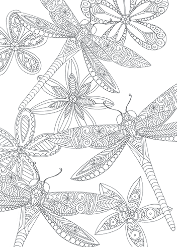 Dragonfly Coloring Page For Adults