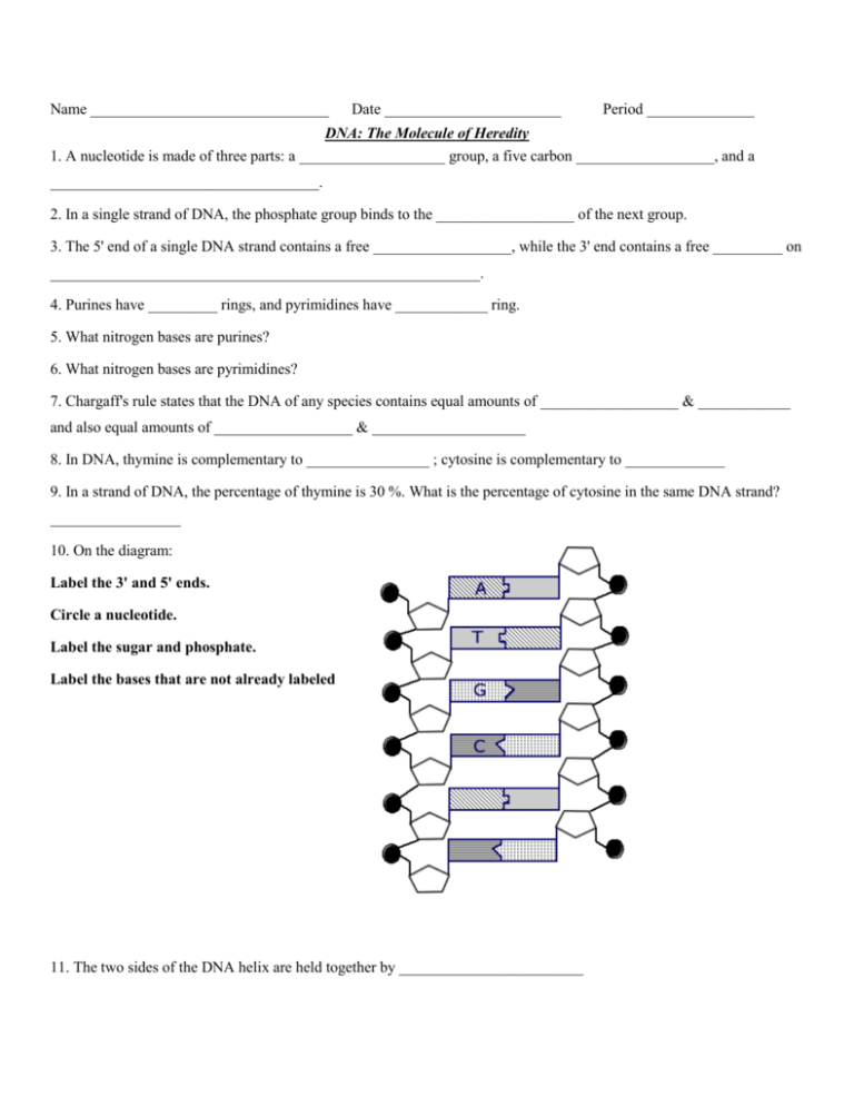 Percentage Composition Worksheet Answers With Work