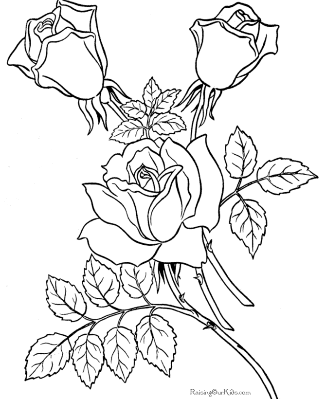 Rose Flower Coloring Pages For Adults