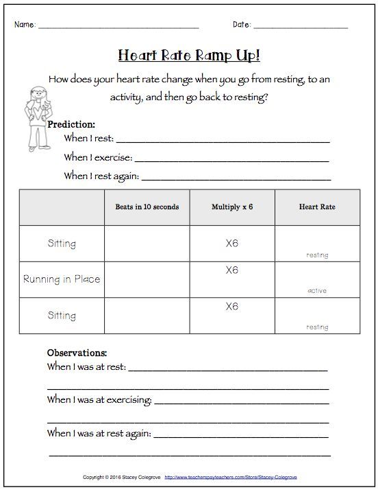 Physical Education Worksheets Pdf