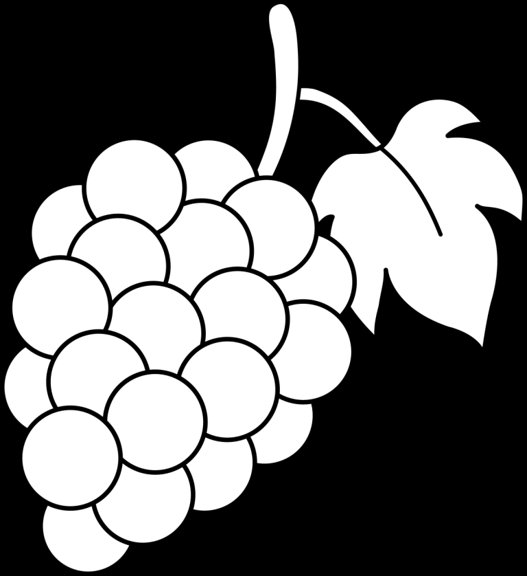 Simple Grapes Coloring Page