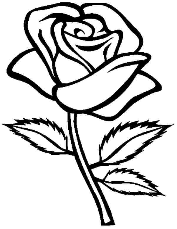 Cute Rose Flower Coloring Pages