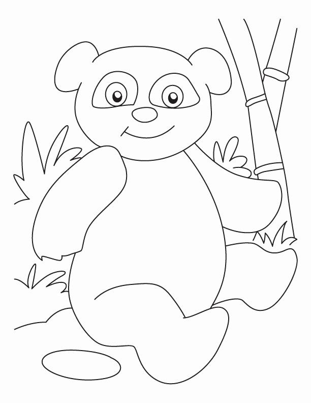 Panda Coloring Combo Panda Drawing