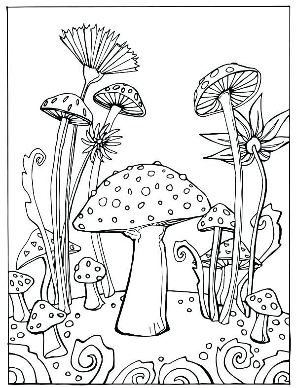 Mushroom Coloring Pages For Adults