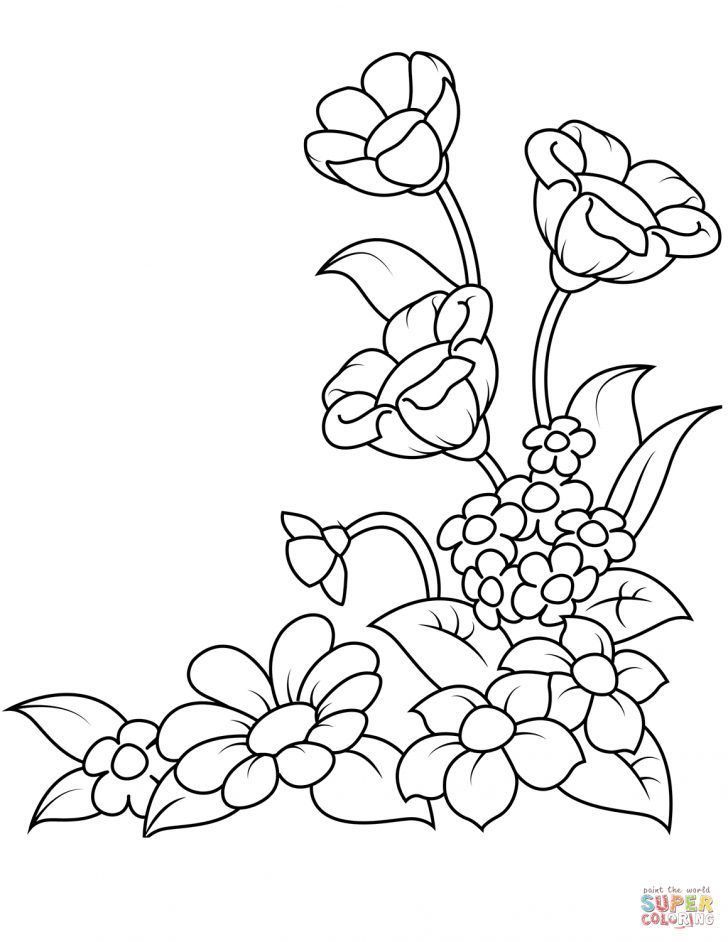 Spring Summer Flower Coloring Pages