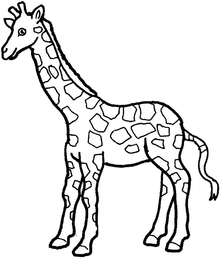 Giraffe Coloring For Kids